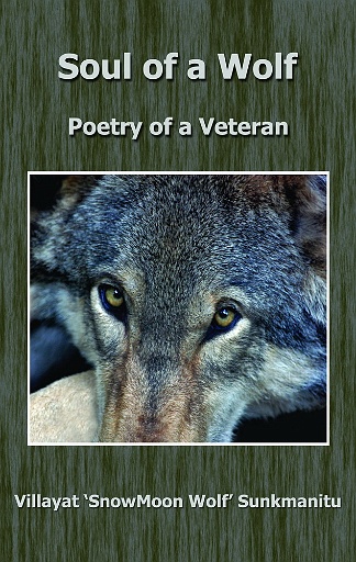Soul of a Wolf - Poetry of a Veteran